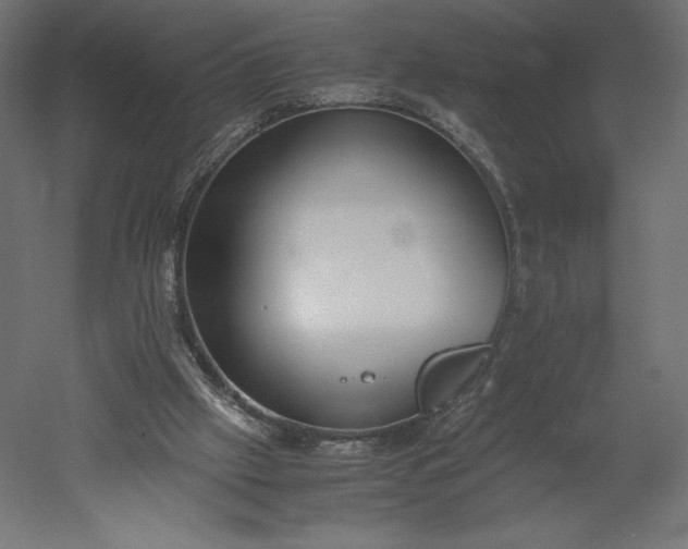 X0000051910057200507011544