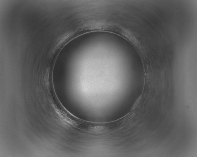 X0000051910058200507011544