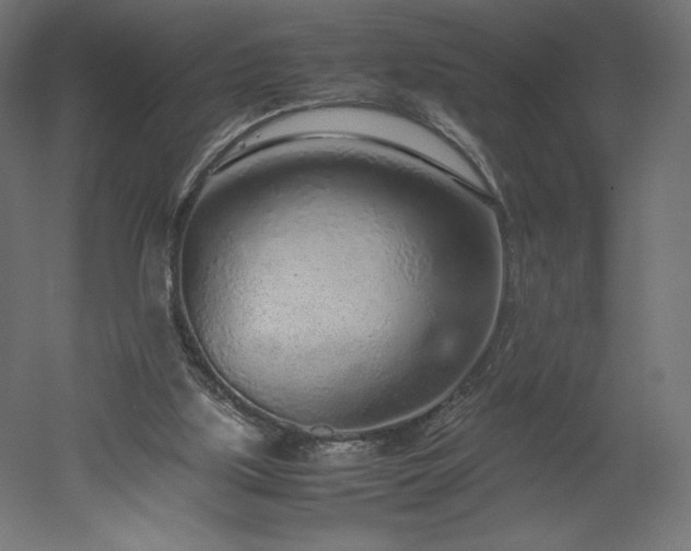 X0000051910059200507011544