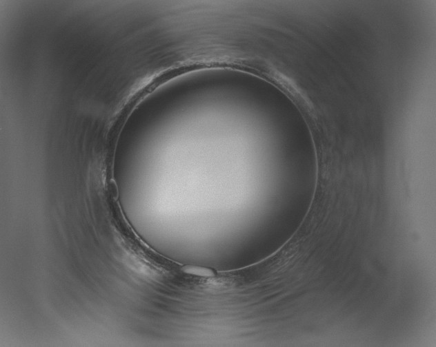 X0000051910060200507011544