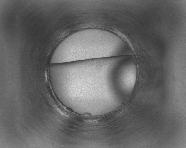 X0000051910061200507011544