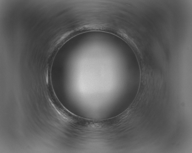 X0000051910062200507011544