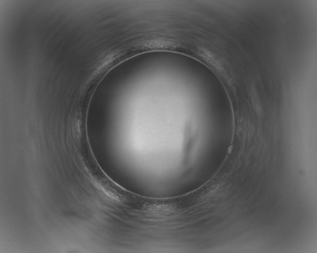 X0000051910063200507011544