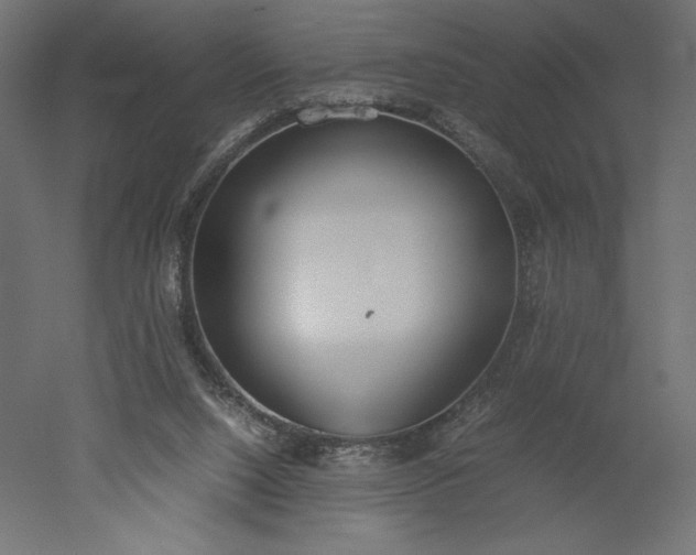 X0000051910064200507011544