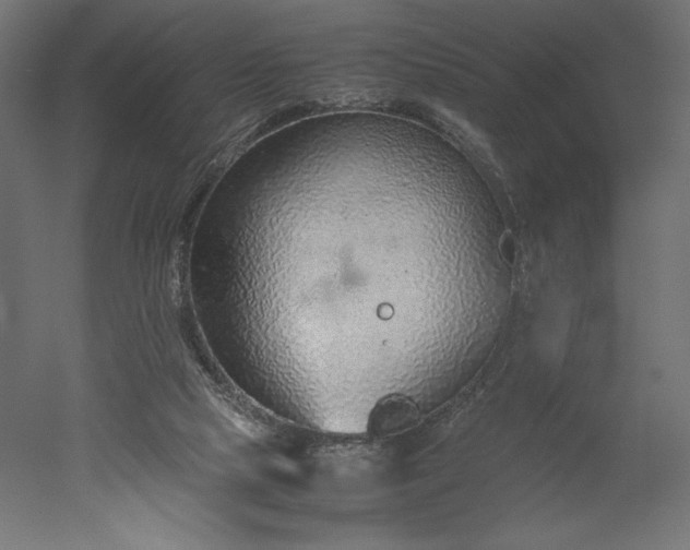 X0000051910065200507011544