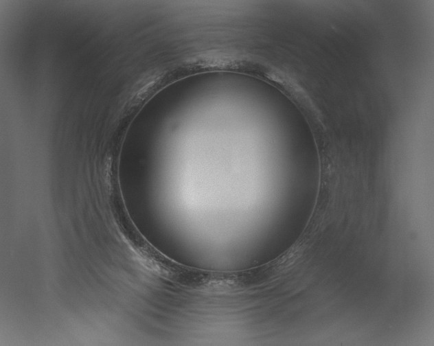 X0000051910066200507011544