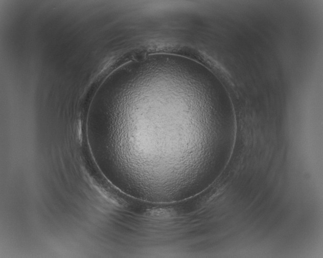 X0000051910067200507011544