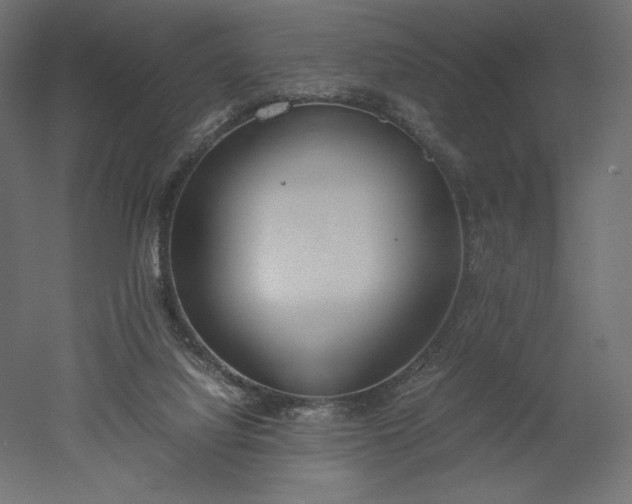 X0000051910068200507011544