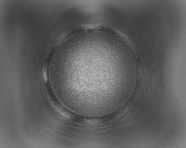 X0000051910069200507011544