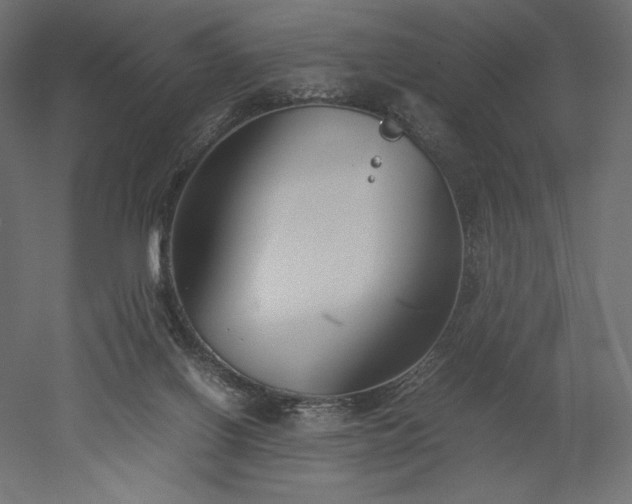 X0000051910070200507011544