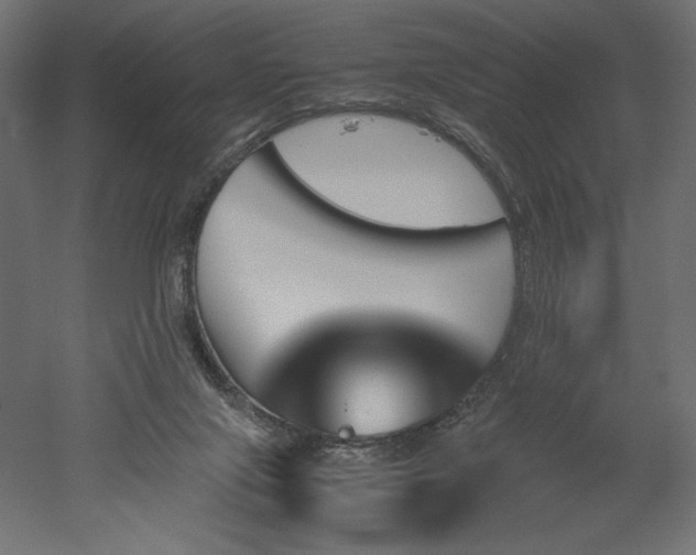 X0000051910071200507011544