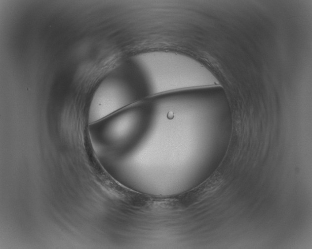 X0000051910072200507011544