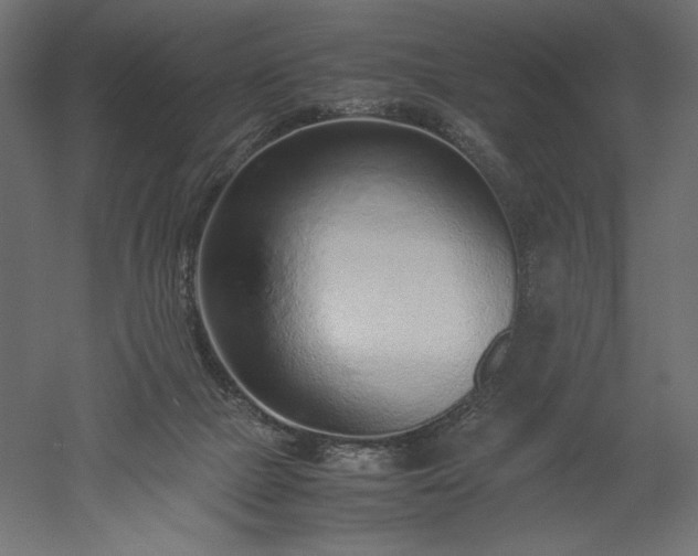 X0000051910073200507011544