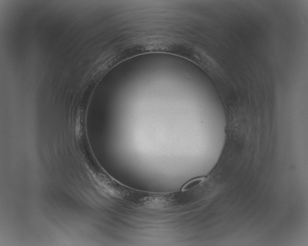 X0000051910074200507011544