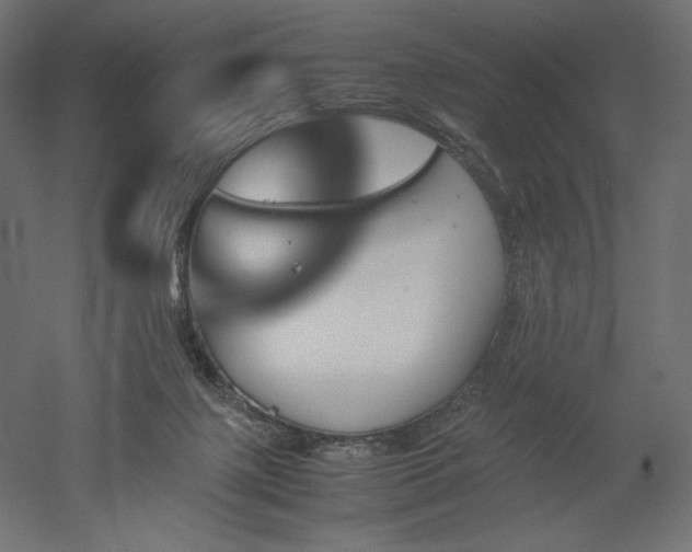 X0000051910075200507011544