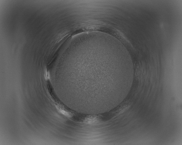 X0000051910076200507011544