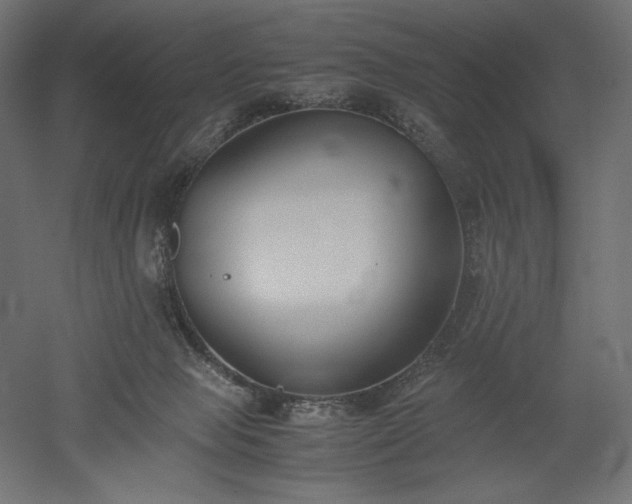 X0000051910077200507011544