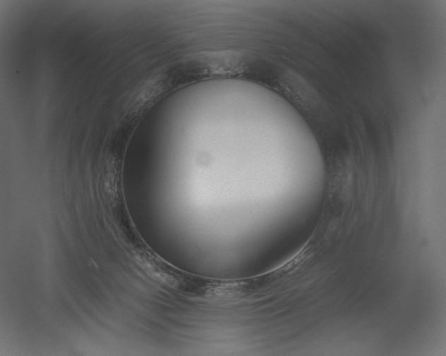 X0000051910078200507011544