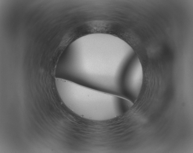 X0000051910079200507011544