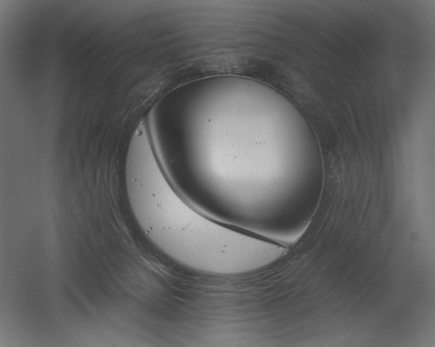 X0000051910080200507011545