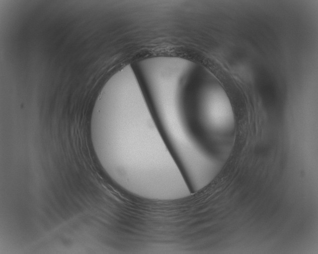 X0000051910081200507011545