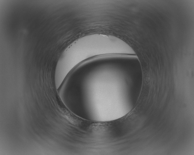 X0000051910082200507011545