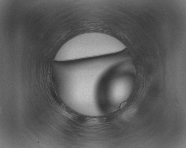 X0000051910083200507011545