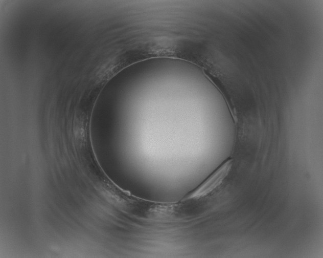 X0000051910084200507011545