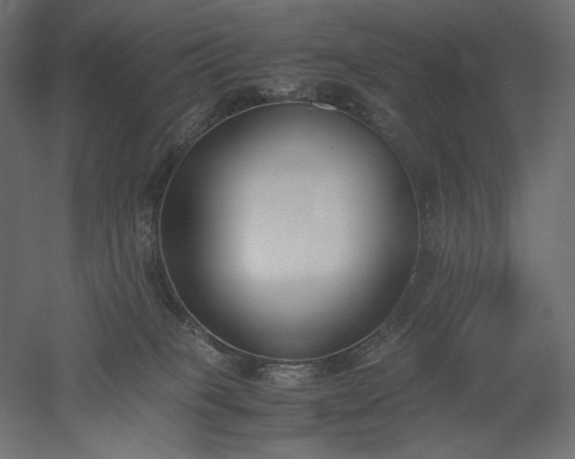 X0000051910085200507011545