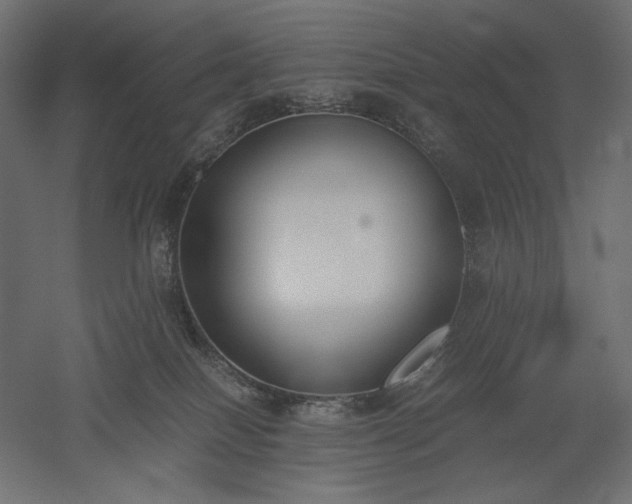 X0000051910086200507011545