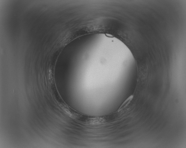 X0000051910087200507011545