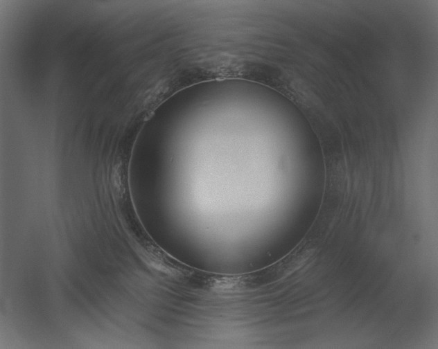 X0000051910088200507011545