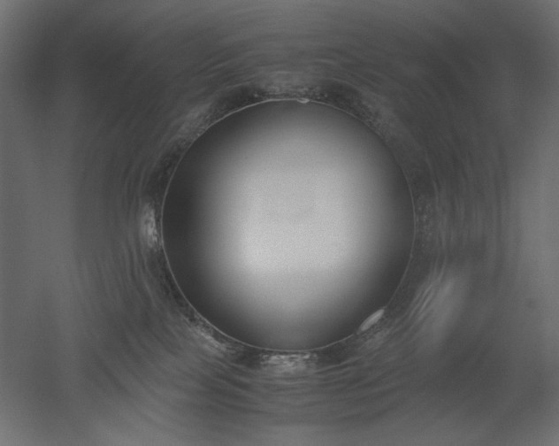 X0000051910089200507011545