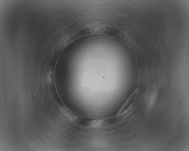 X0000051910090200507011545