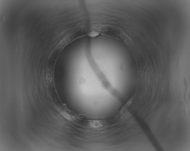 X0000051910091200507011545