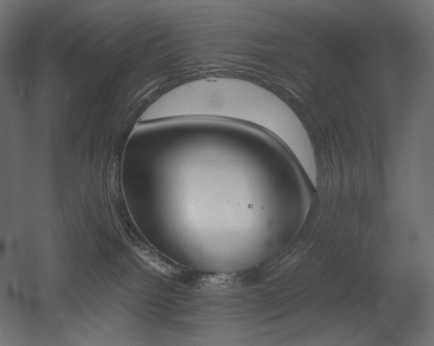 X0000051910092200507011545