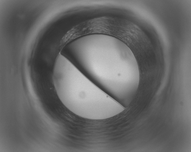 X0000051910093200507011545