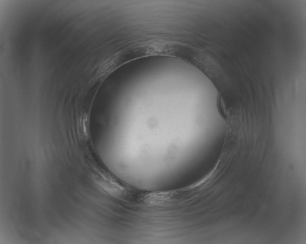 X0000051910094200507011545