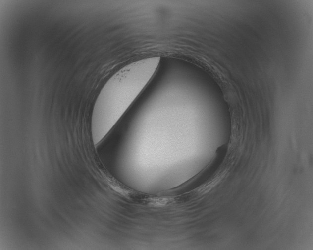 X0000051910096200507011545