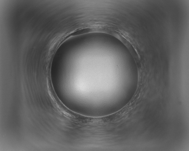 X0000051910097200507011544