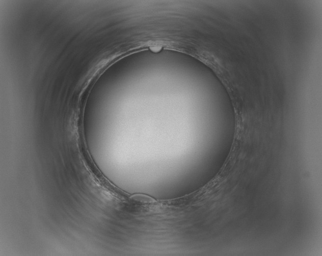 X0000051910098200507011544