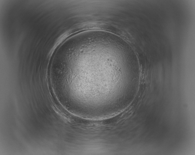 X0000051910099200507011544