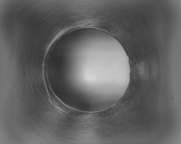 X0000051910100200507011544