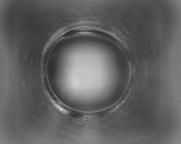 X0000051910101200507011544