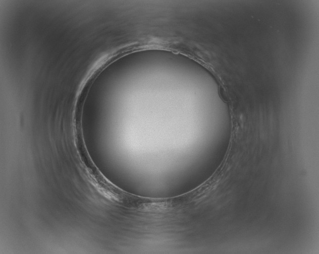 X0000051910102200507011544