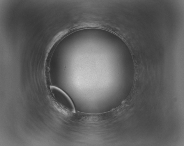 X0000051910104200507011544