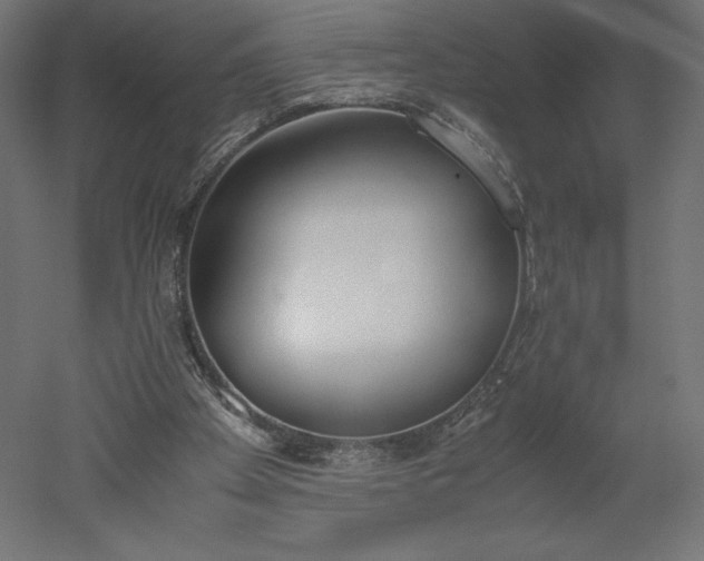 X0000051910105200507011544