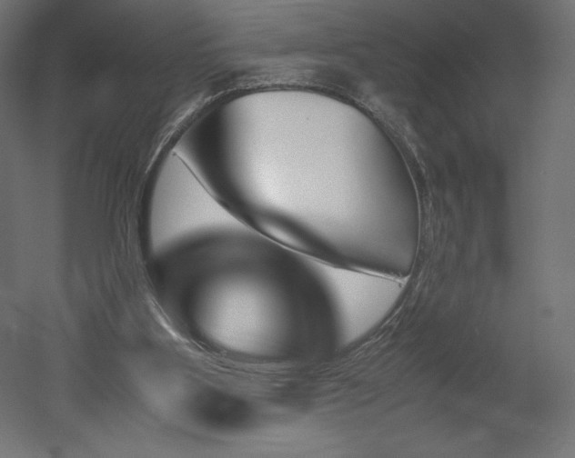 X0000051910107200507011544