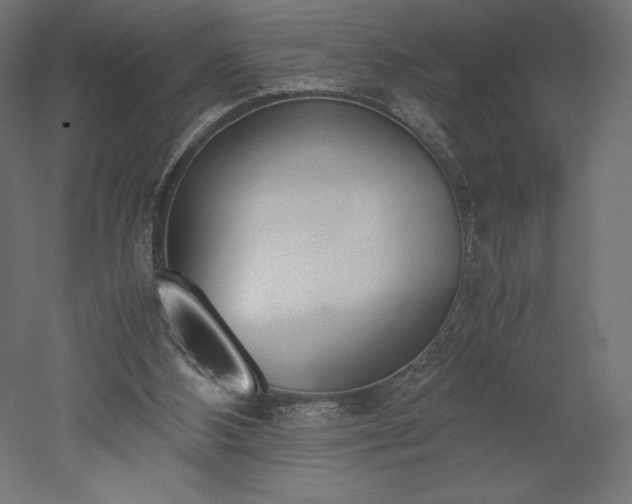 X0000051910108200507011544