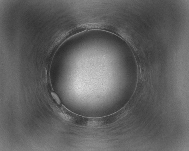 X0000051910109200507011544